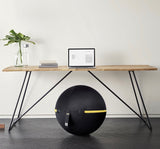 TechnoGym Active Sitting ball